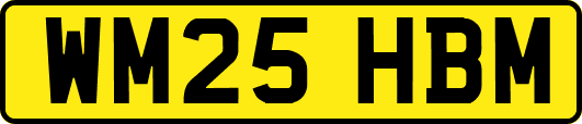 WM25HBM