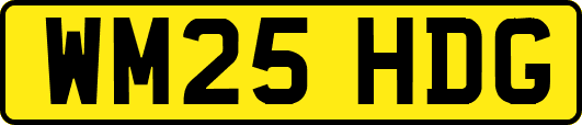 WM25HDG
