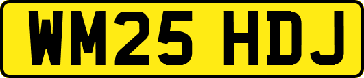 WM25HDJ