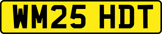 WM25HDT