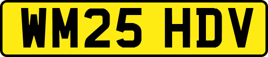 WM25HDV