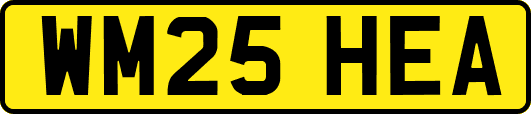 WM25HEA