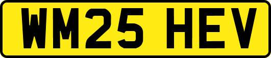 WM25HEV