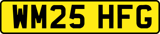 WM25HFG