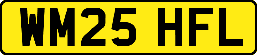 WM25HFL
