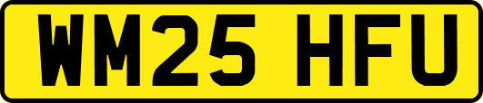 WM25HFU
