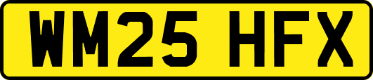 WM25HFX