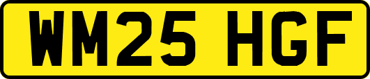 WM25HGF