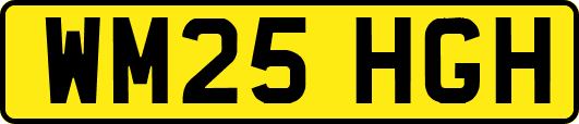WM25HGH