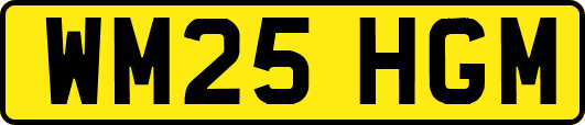 WM25HGM