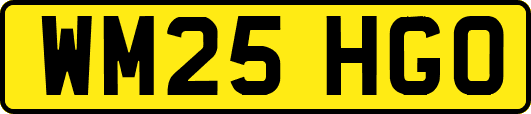 WM25HGO