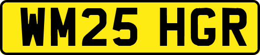 WM25HGR