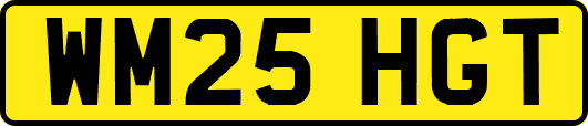 WM25HGT