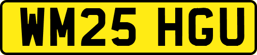 WM25HGU