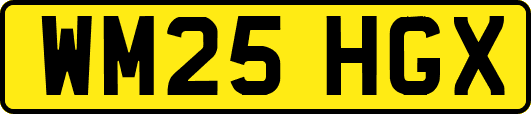 WM25HGX