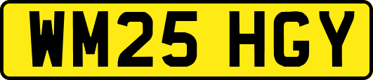 WM25HGY