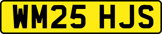 WM25HJS