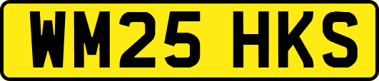 WM25HKS