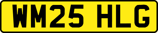 WM25HLG