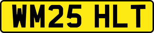 WM25HLT