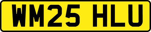WM25HLU