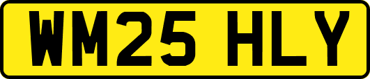 WM25HLY