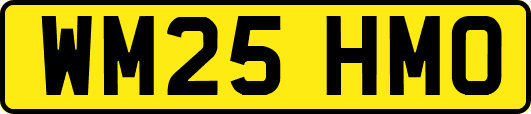 WM25HMO