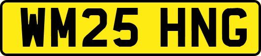 WM25HNG