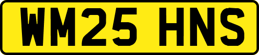 WM25HNS
