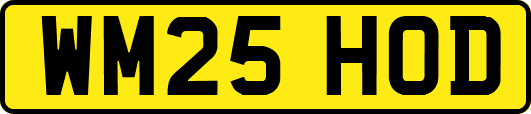 WM25HOD