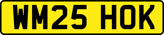 WM25HOK