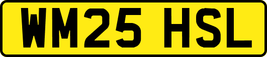 WM25HSL