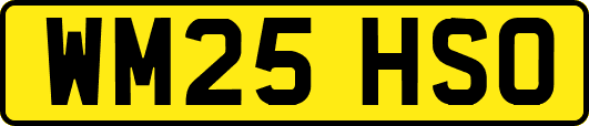 WM25HSO