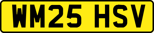 WM25HSV