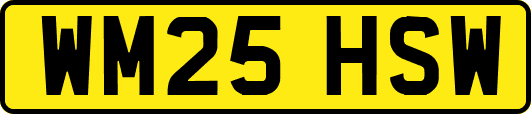 WM25HSW