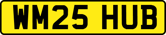 WM25HUB