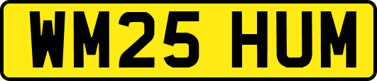 WM25HUM