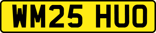 WM25HUO