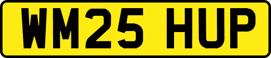 WM25HUP