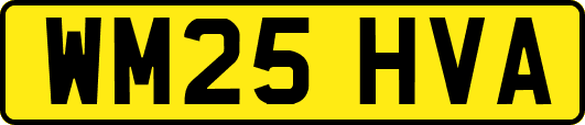 WM25HVA