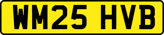 WM25HVB