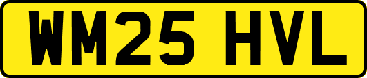 WM25HVL
