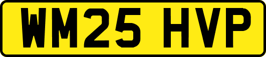 WM25HVP