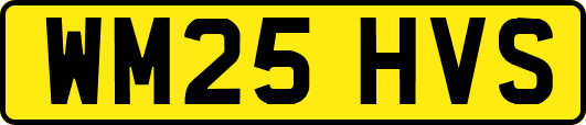 WM25HVS