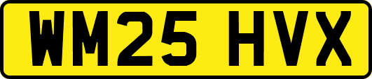 WM25HVX