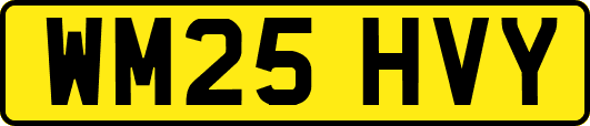 WM25HVY