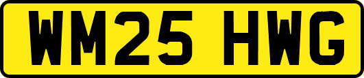 WM25HWG