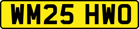 WM25HWO