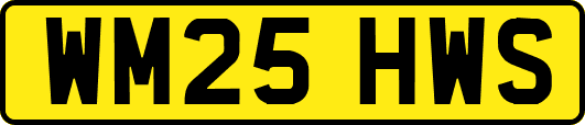WM25HWS