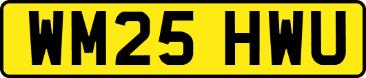 WM25HWU